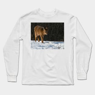 White-tailed Deer Long Sleeve T-Shirt